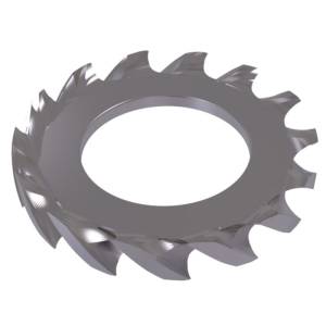 100x Tandveer Ring M20 - RVS DIN6798