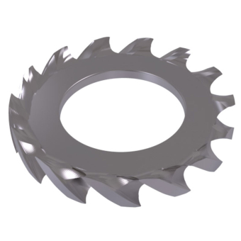 250x Tandveer Ring M6 - RVS DIN6798