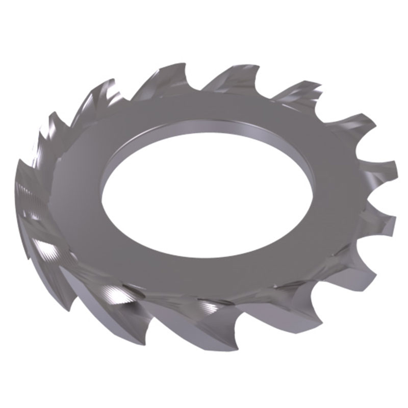 100x Tandveer Ring M20 - RVS DIN6798