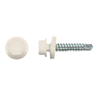 100x ZELFBORENDE ZESKANT  Ø5,5x60 - VERKEERS WIT RAL9016 - EPDM - DIN7504ZKR